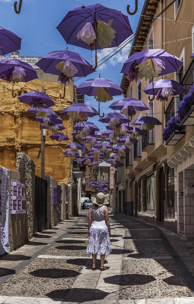 Apartamentos Tierra Lavanda 브리우에가 외부 사진